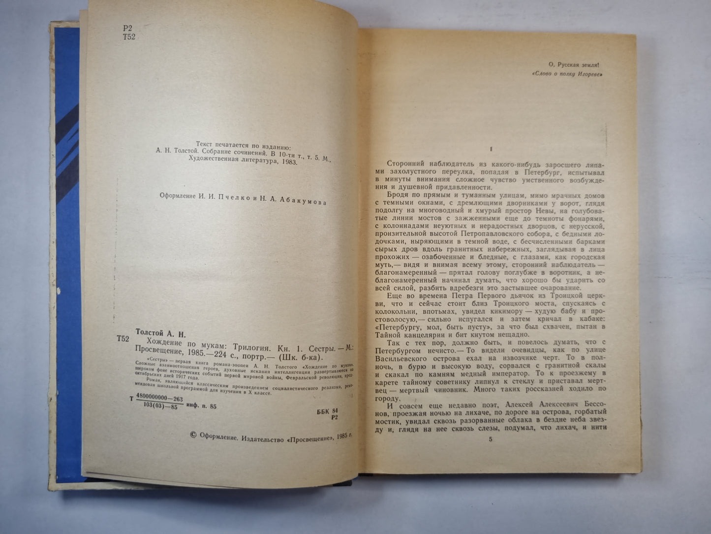 Хождение по мукам. Книга первая