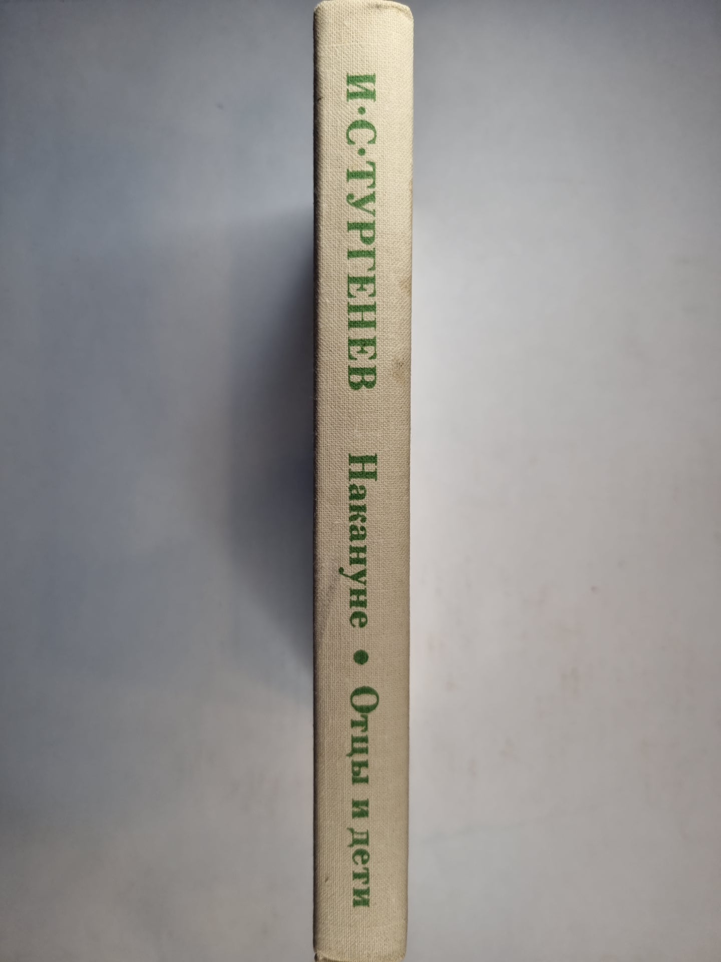 Накануне; Отцы и дети