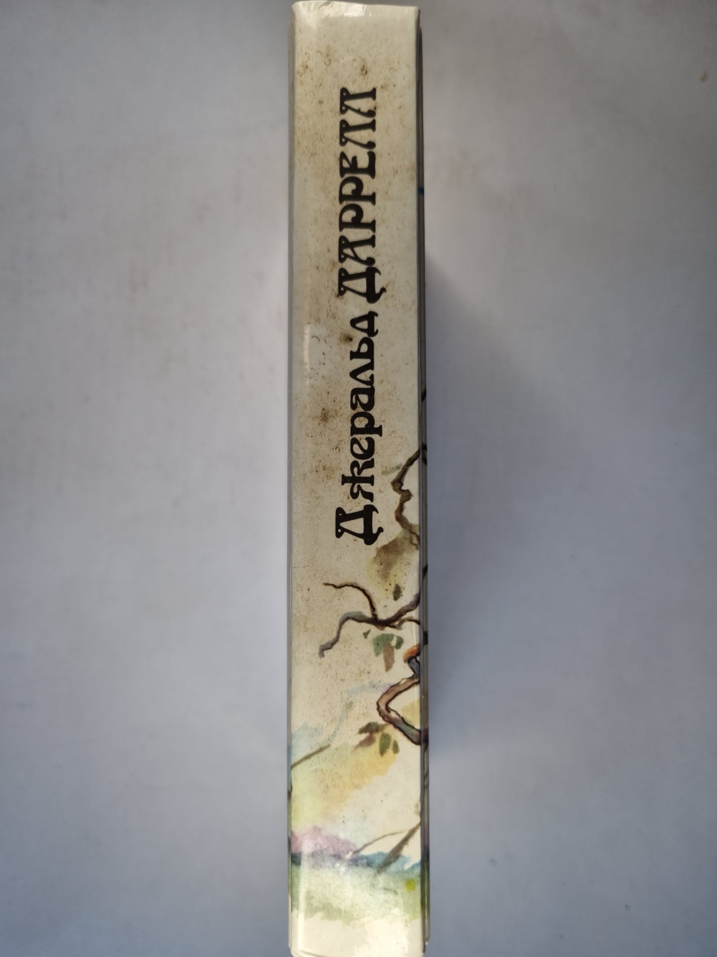 Под пологом пьяного леса