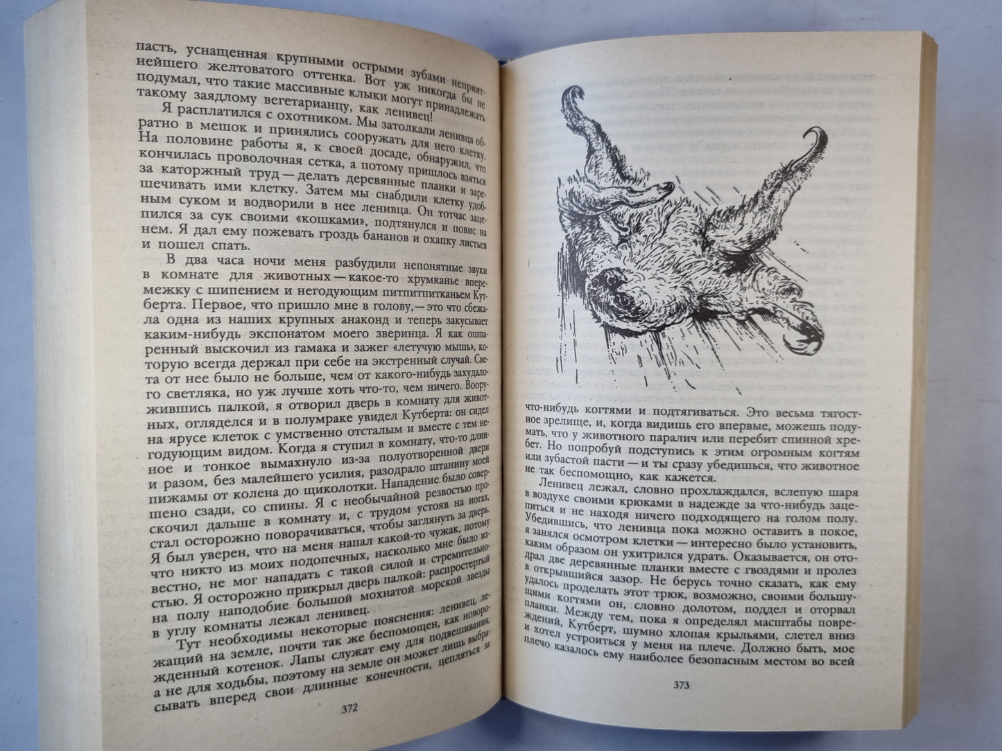 Под пологом пьяного леса