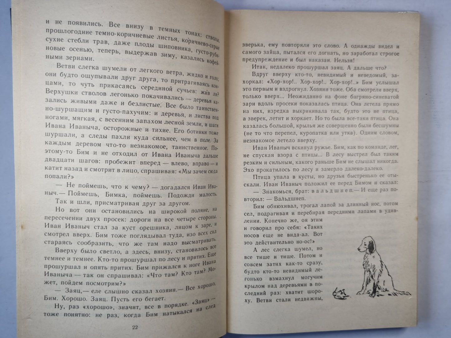 Белый Бим черное ухо