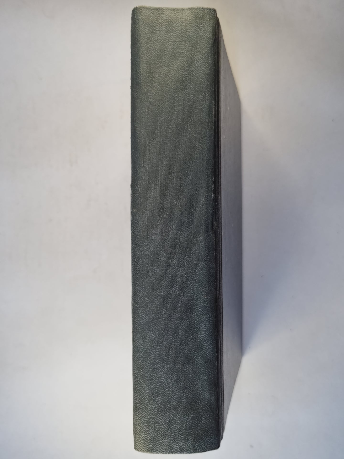 Лунный свет. Мисс Гарриет. Сестри Рондоли