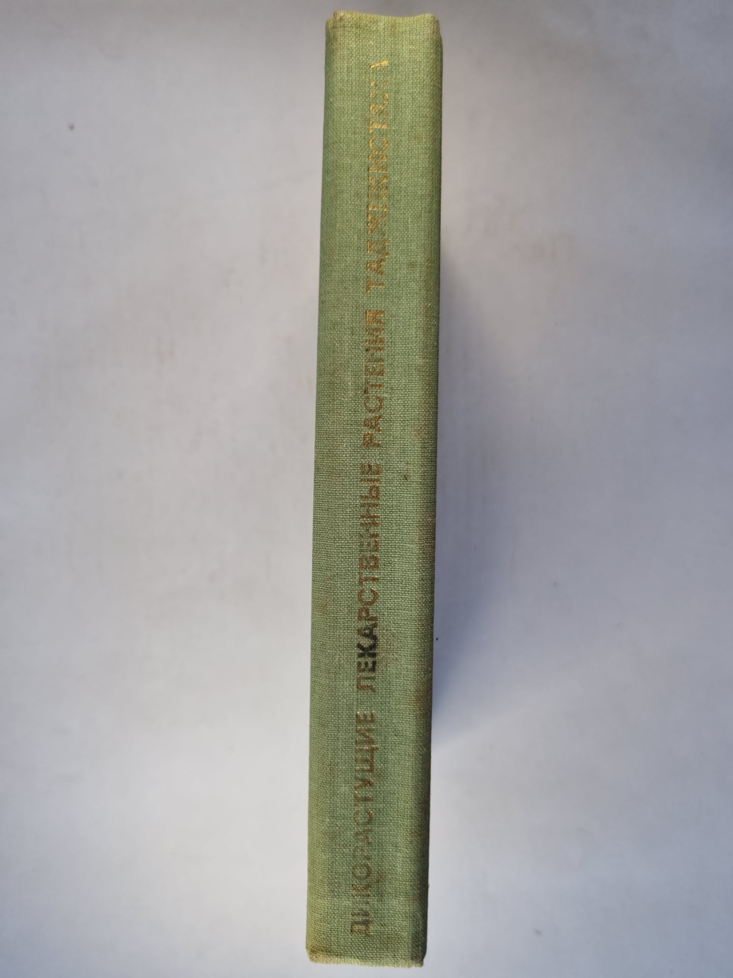 Дикорастущие лекарственные растения Таджикистана