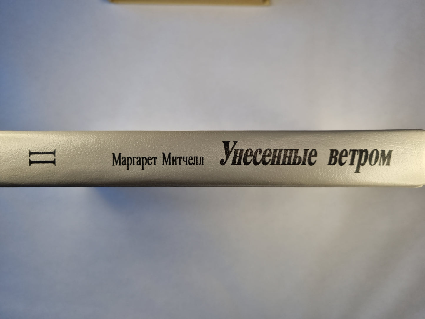 Устроенный ветром. Том второй