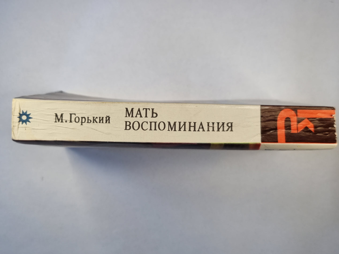 Мать. Воспоминания