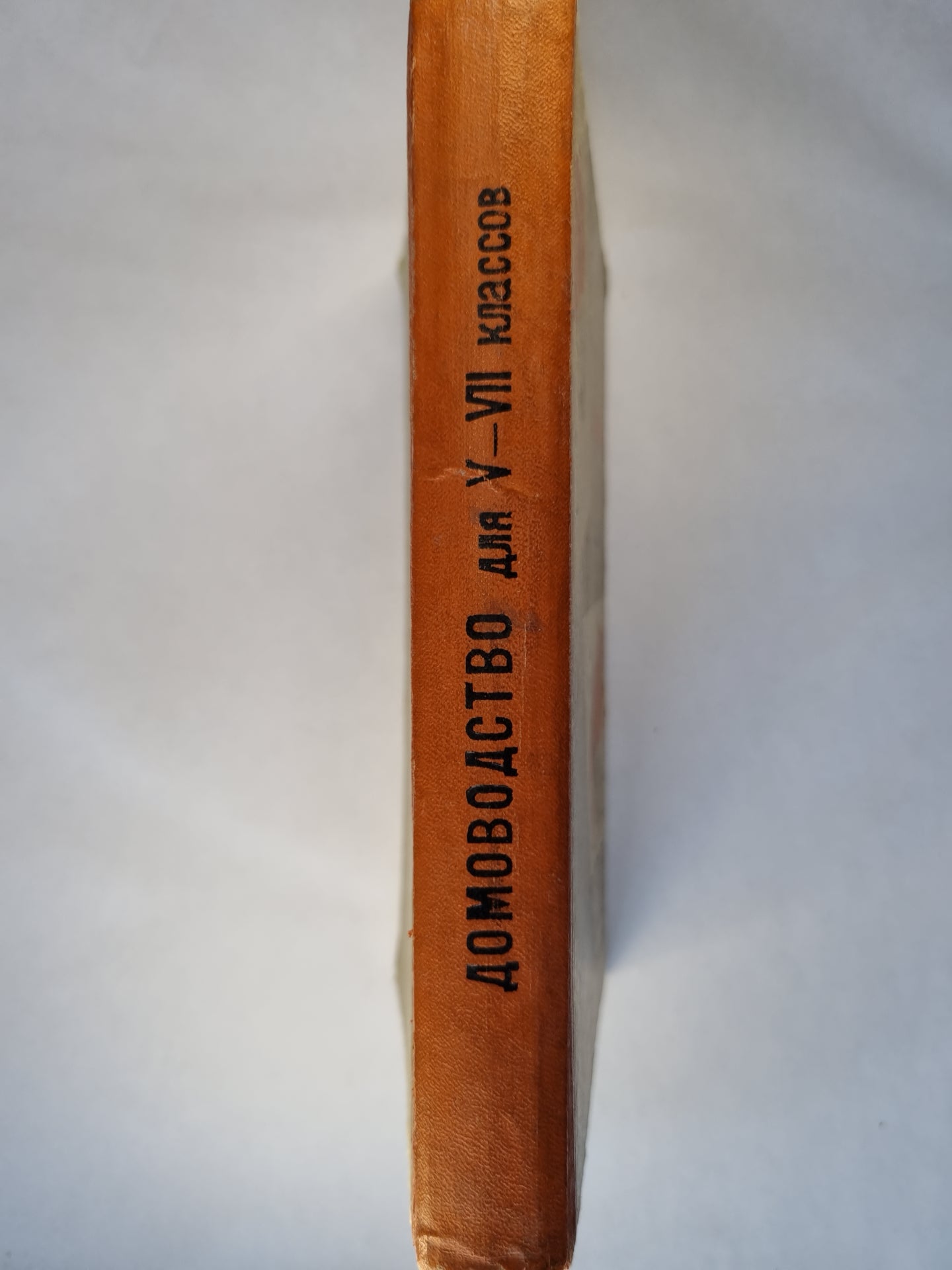 Домоводство для V-VII классов