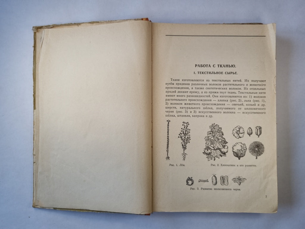 Домоводство для V-VII классов