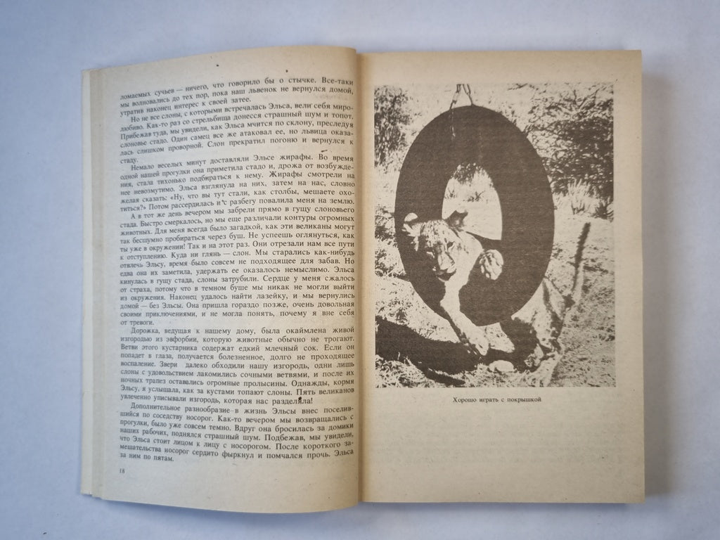 Рожденная свободной