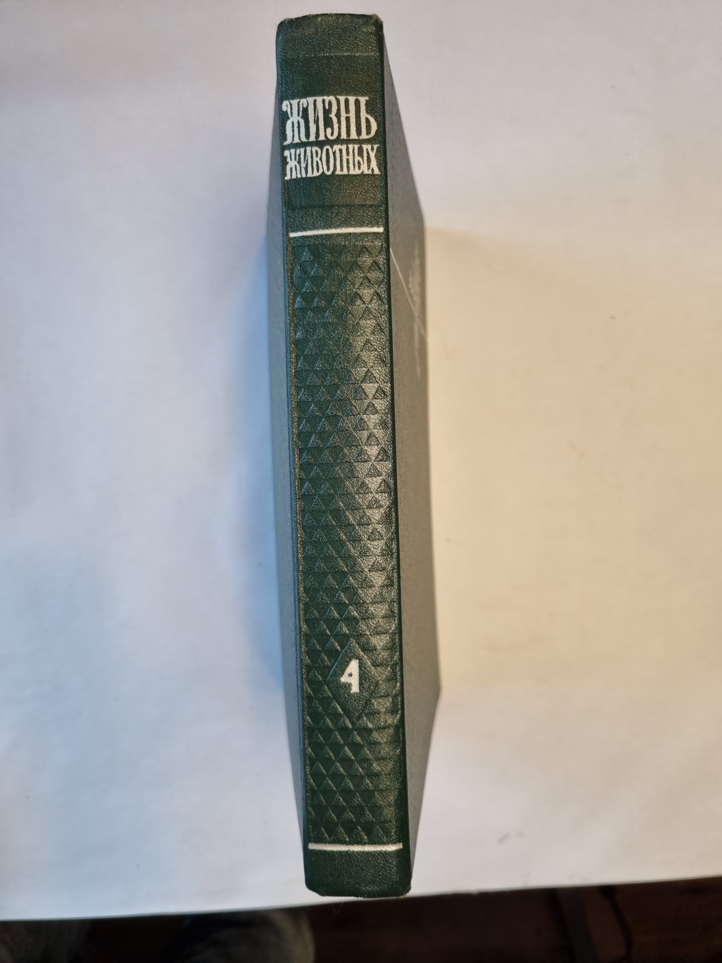 Жизнь животных в шести томах. Том4. Часть 2. Земноводные, пресмыкающиеся
