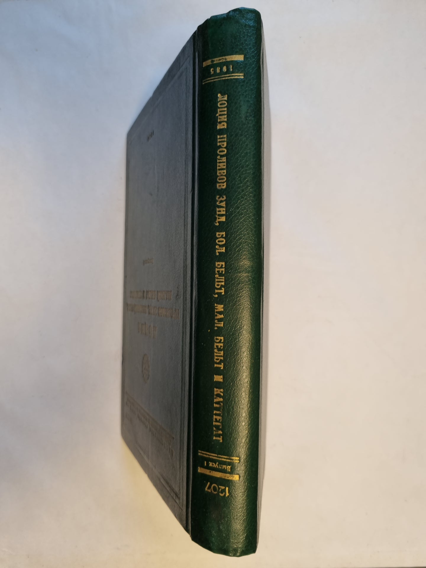 Les rôles de la femme Zund, de la grande ceinture, de la petite ceinture et du chat