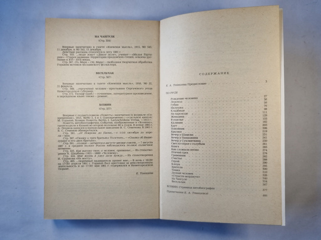 По Руси. Хозяин