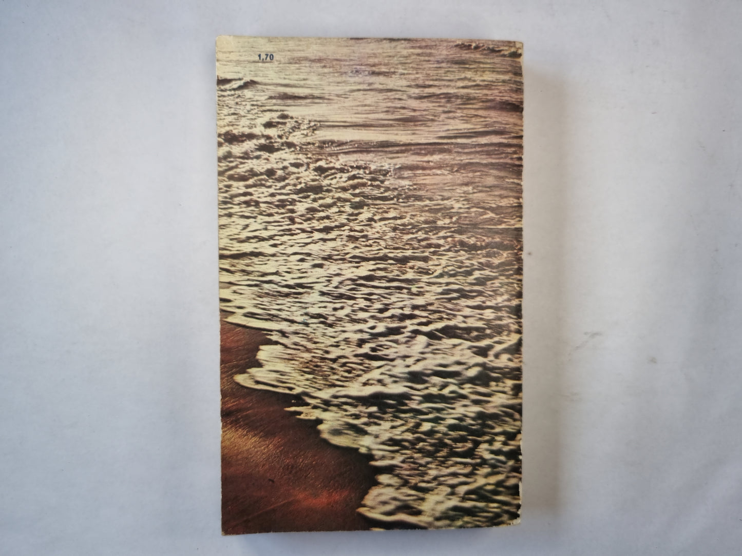 Сын рыбака. Роман