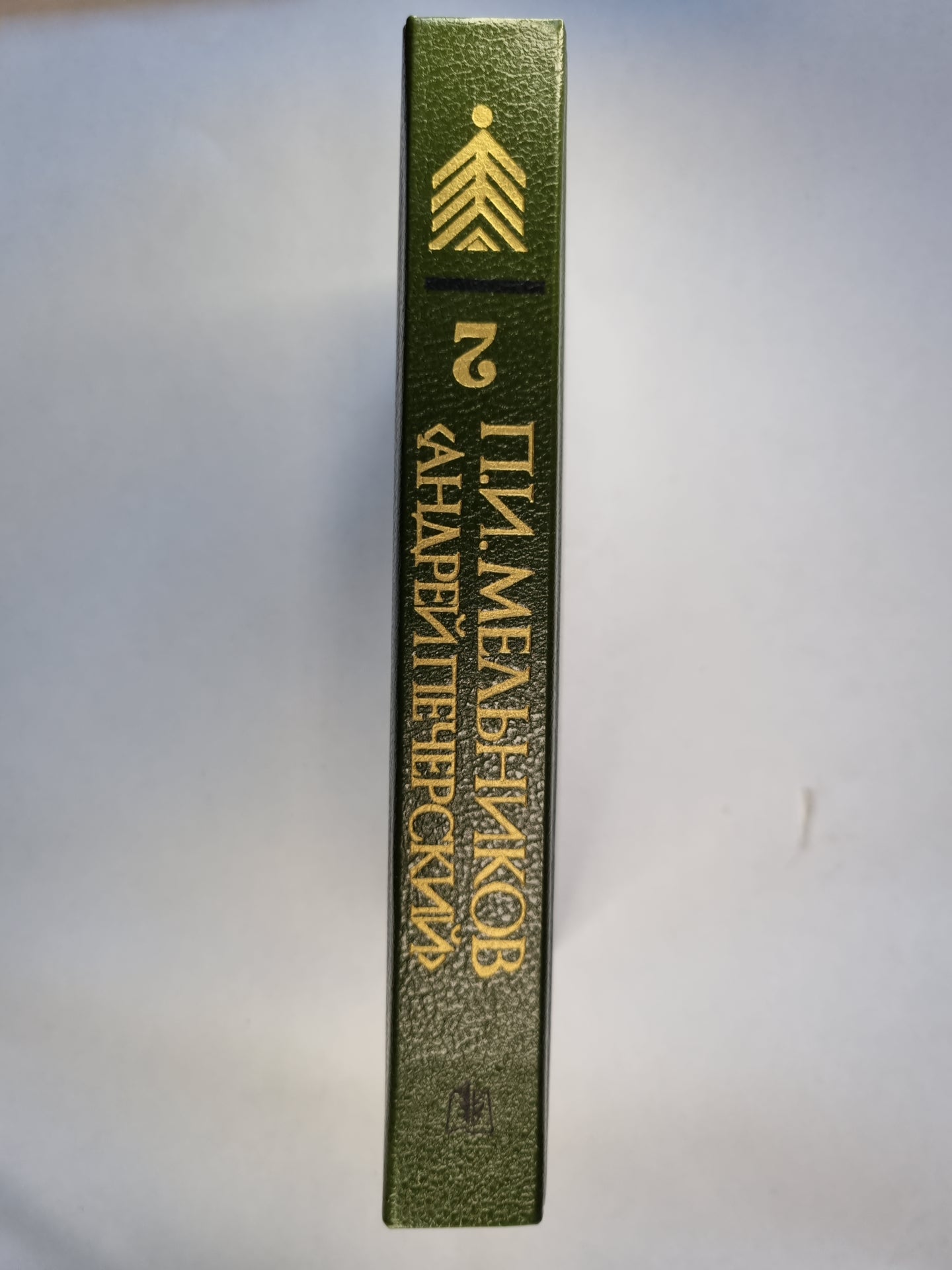 В лесах. Роман в 2-х книгах. Книга вторая
