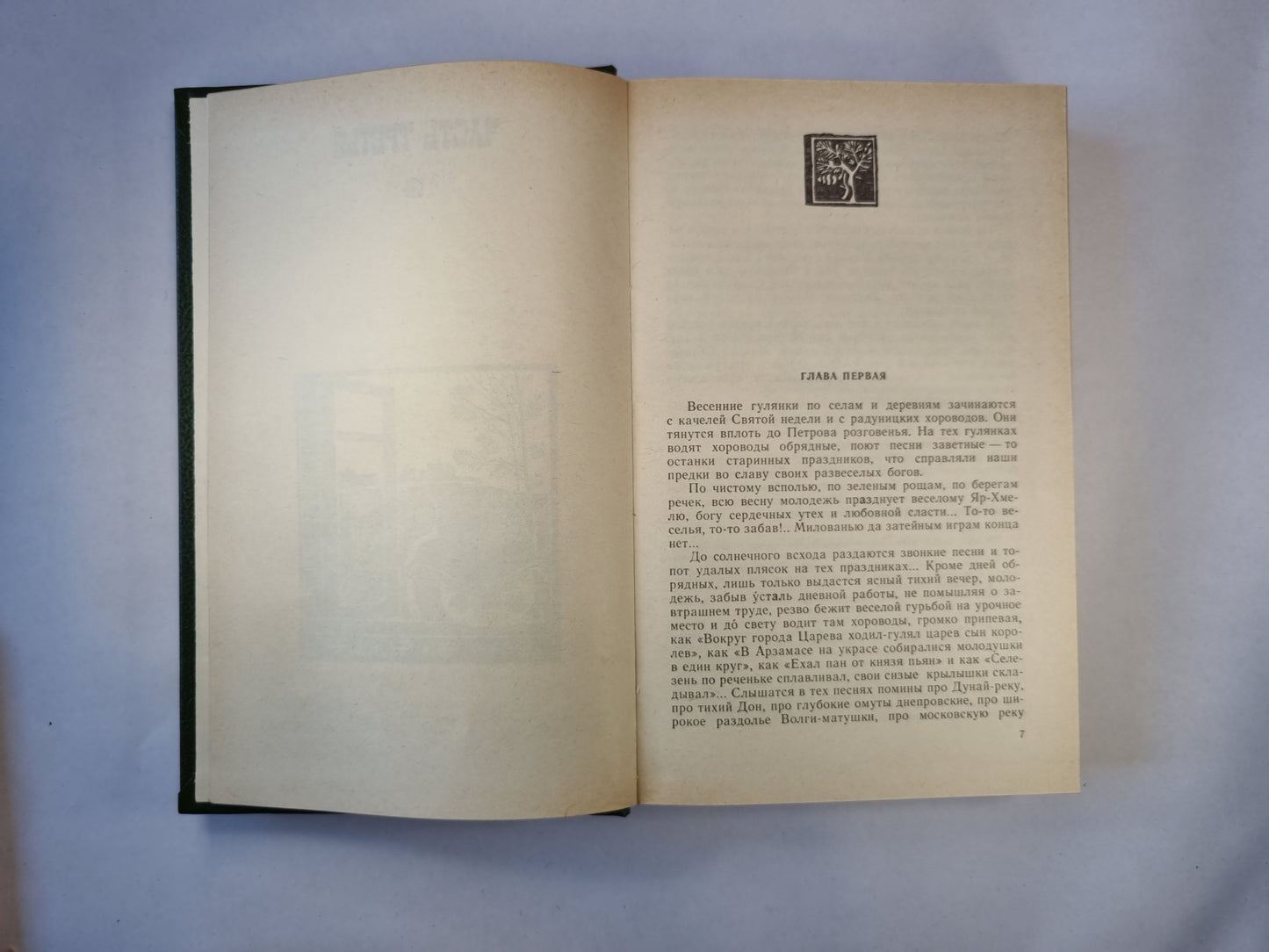 В лесах. Роман в 2-х книгах. Книга вторая