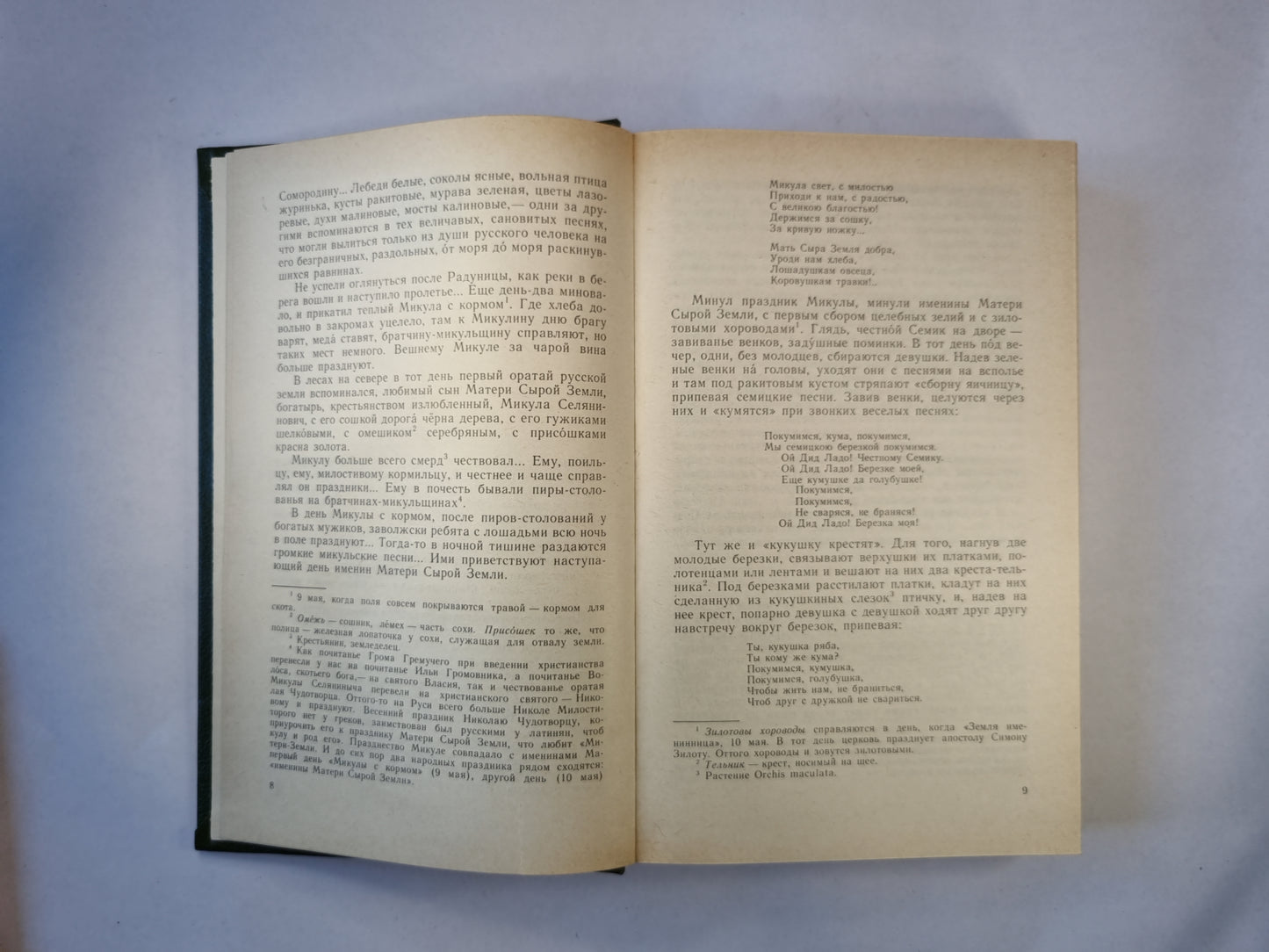 В лесах. Роман в 2-х книгах. Книга вторая