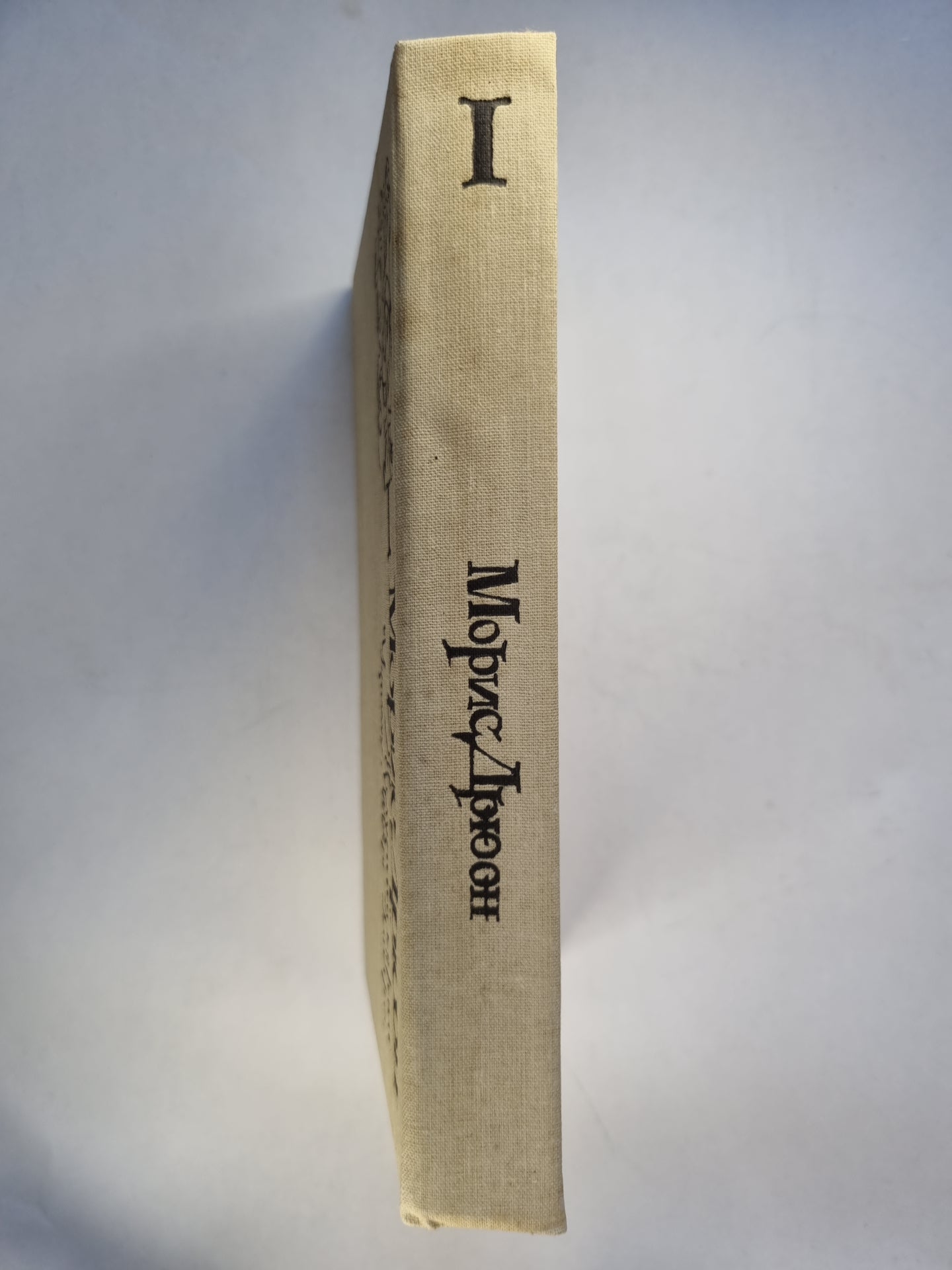 Железный король. Узница Шато-Гайара. Книга первая