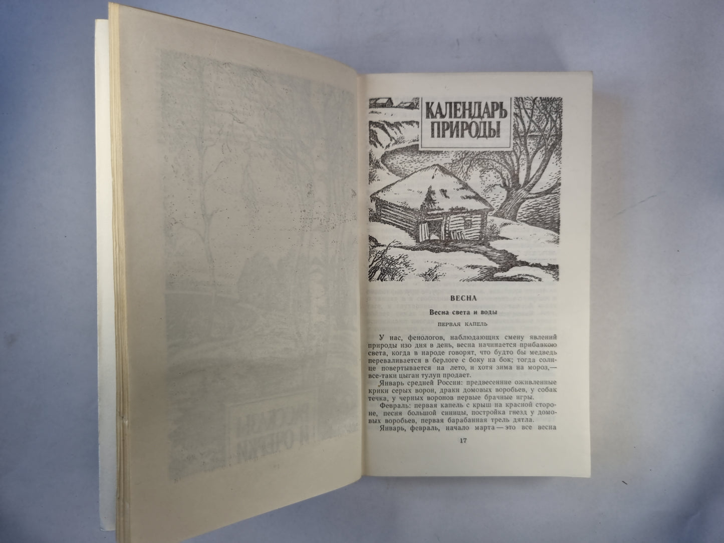 Рассказы и очерки