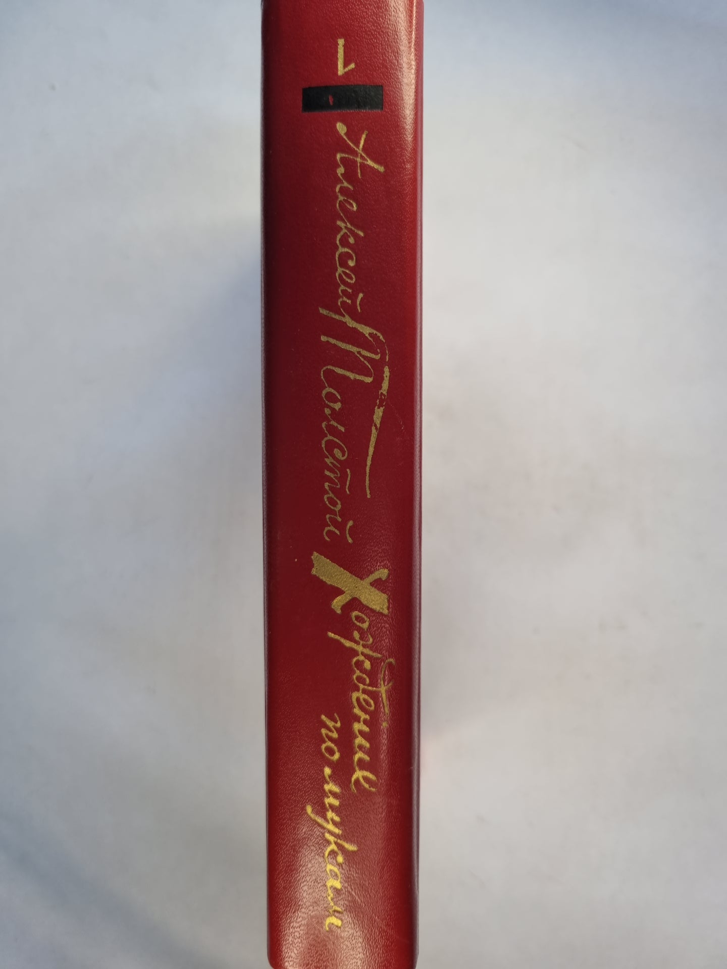 Хождение по мукам. Том 1