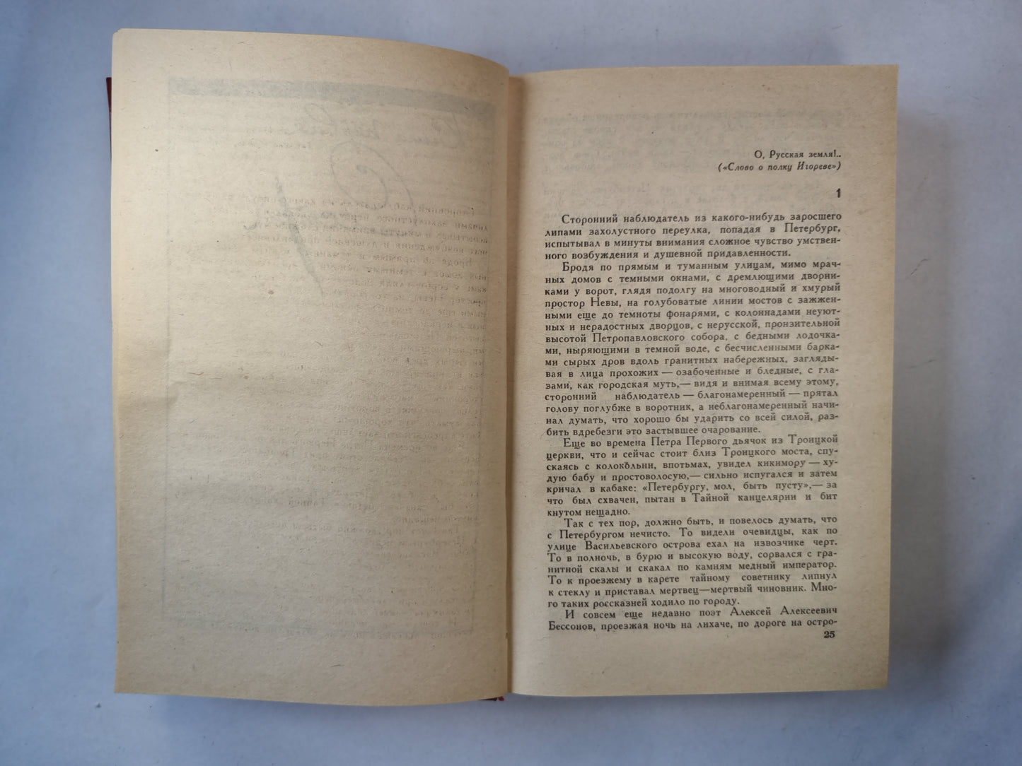 Хождение по мукам. Том 1