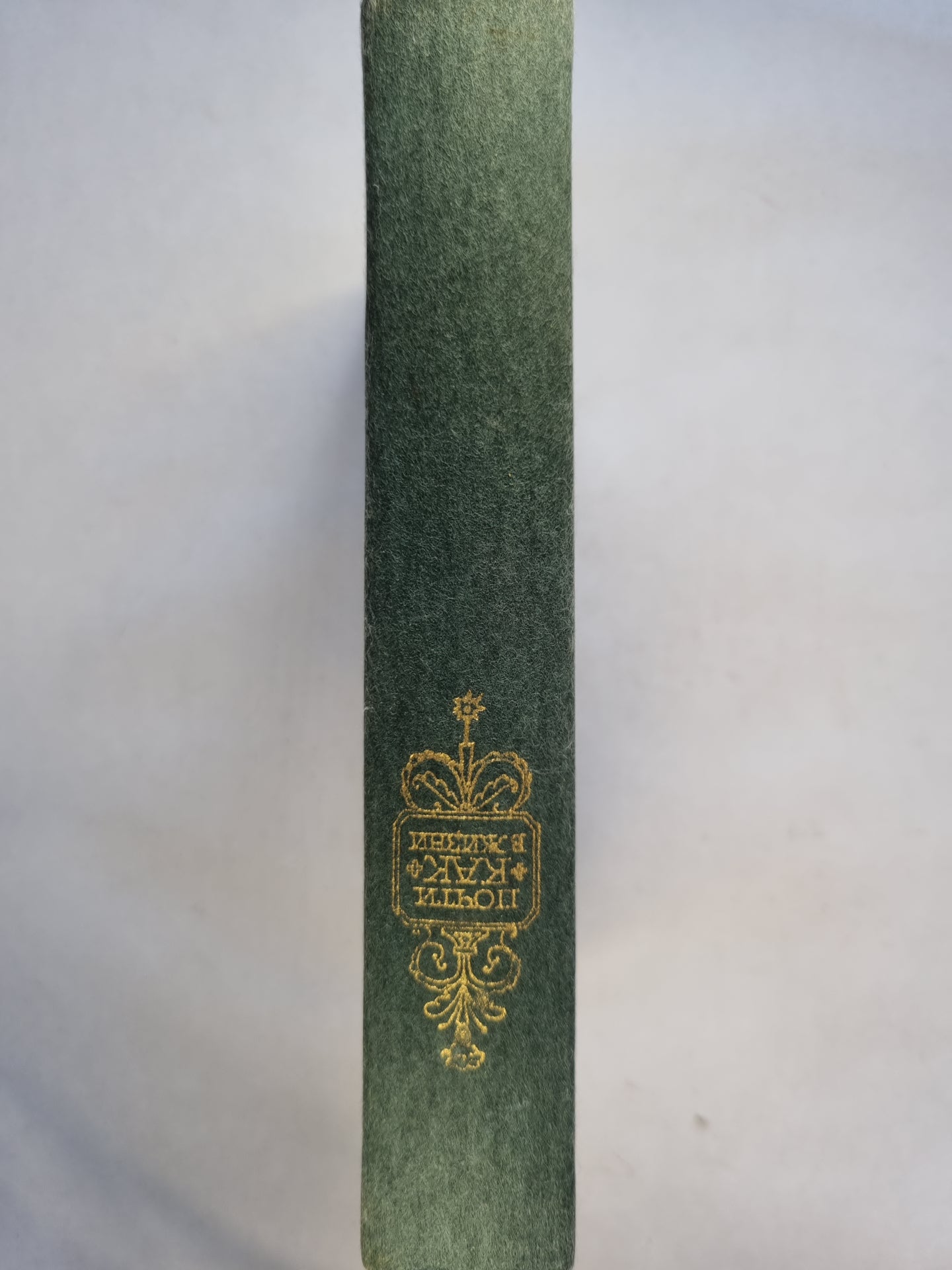 Почти как в жизни. Английская сказочная повесть и литературная сказка