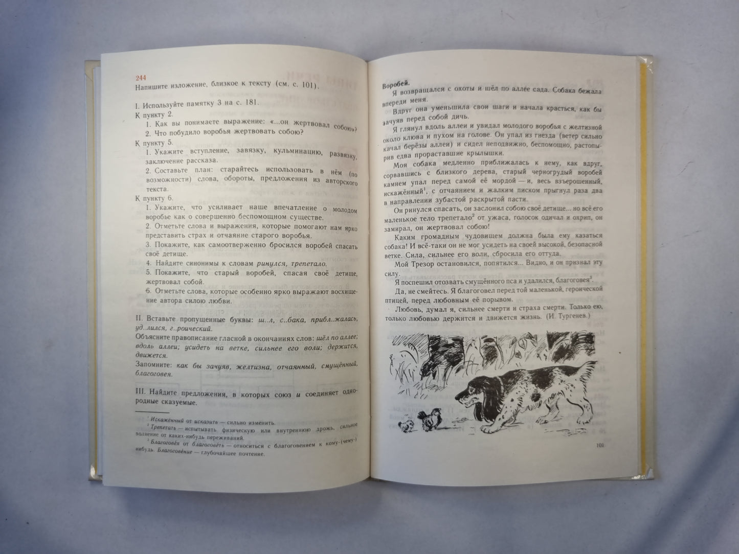 Русская речь. Учебное пособие по развитию связной речи 5-7 классов общеобразовательных учреждений