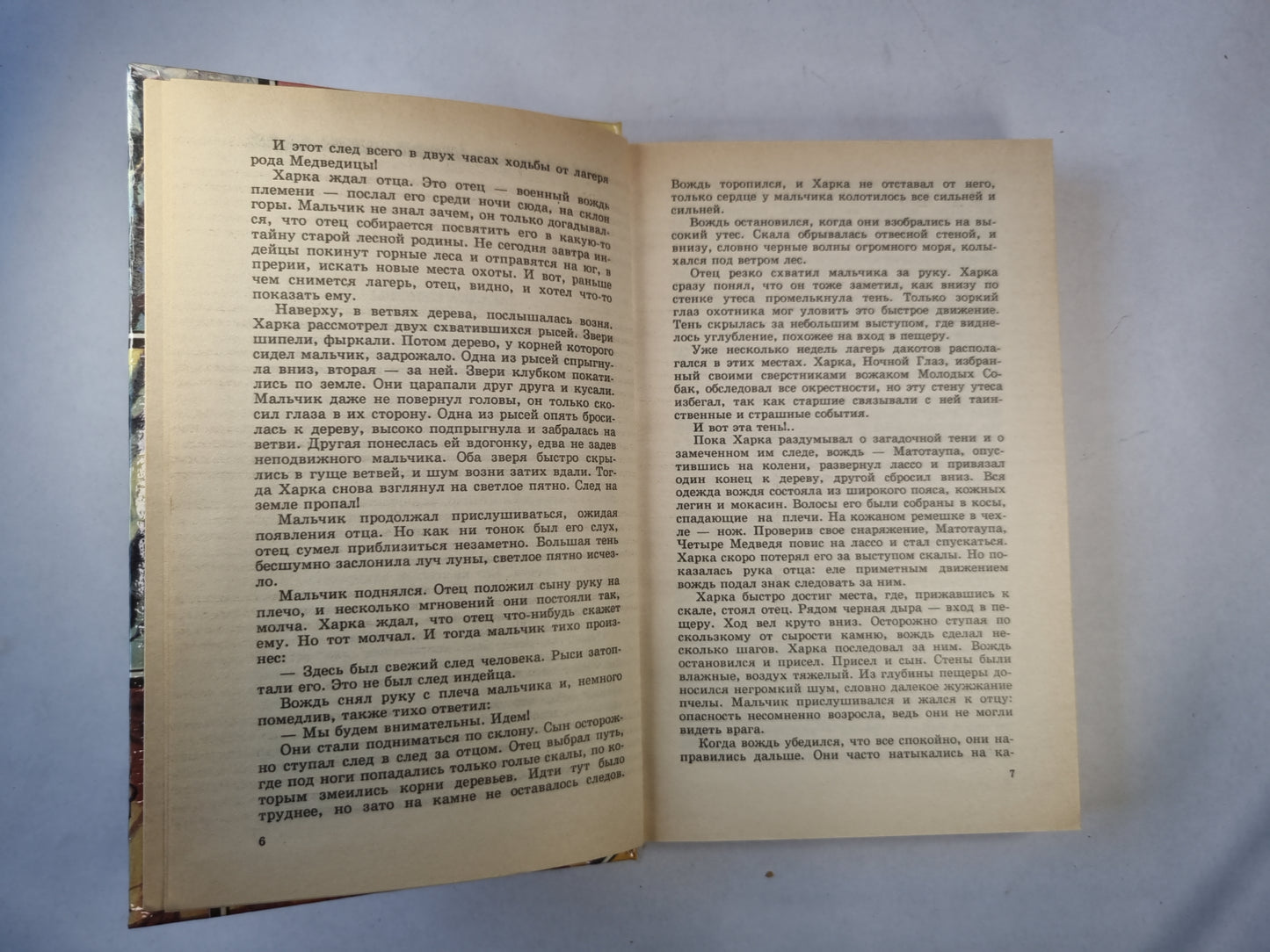 Сыновья Большой Медведицы. Роман в трех книгах. Книга первая