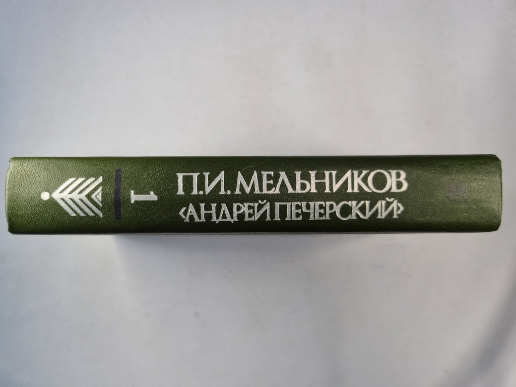 В лесах. Роман в 2-х книгах. Книга первая