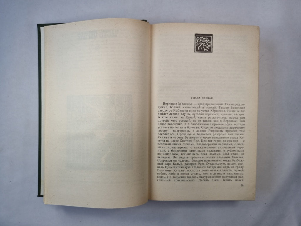 В лесах. Роман в 2-х книгах. Книга первая