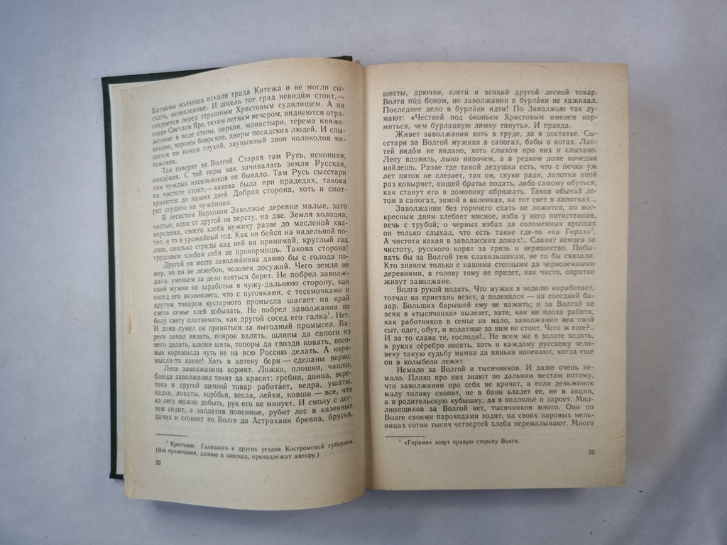 В лесах. Роман в 2-х книгах. Книга первая