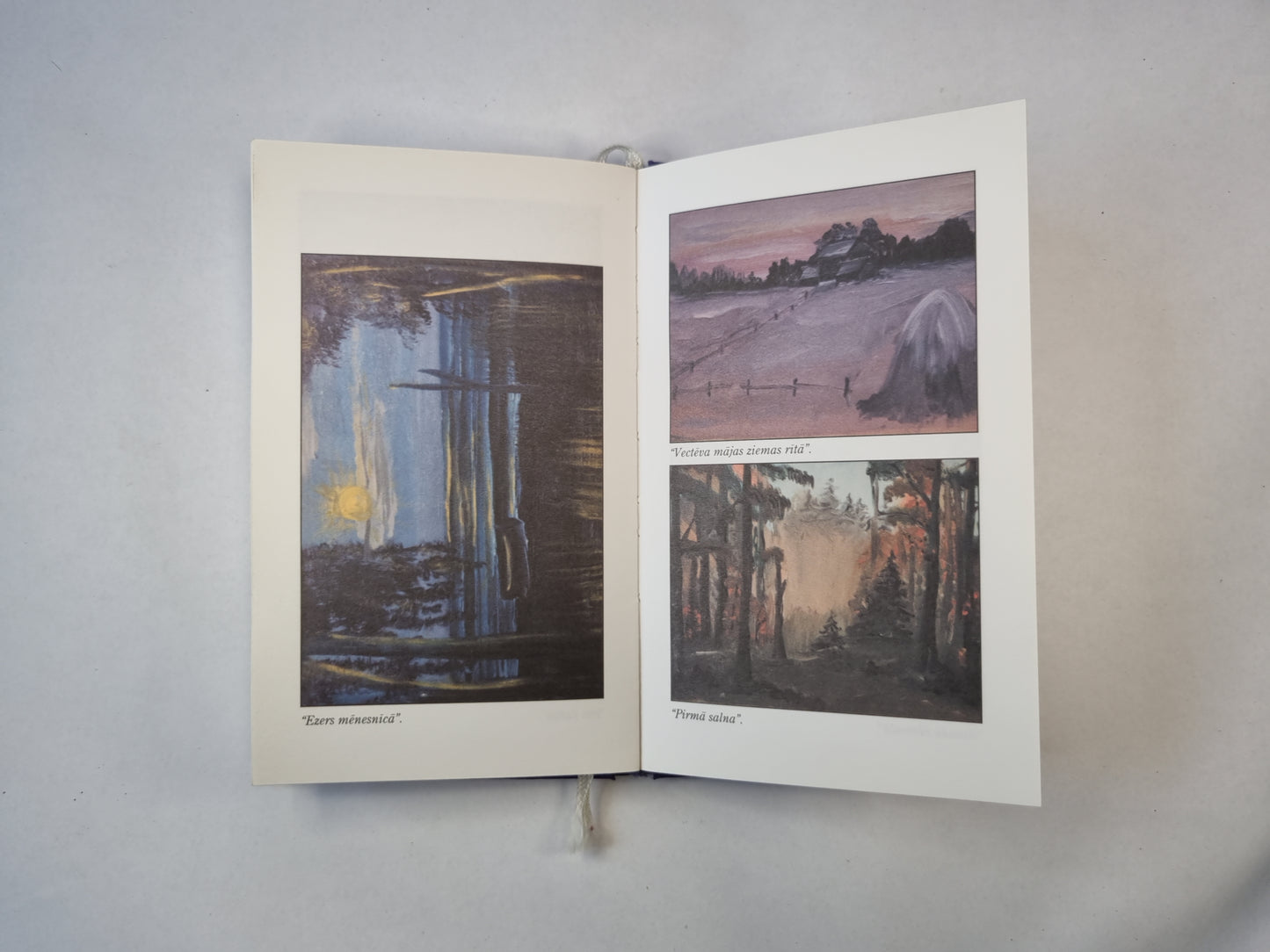 Elejas Veronikas proza. (LAT)