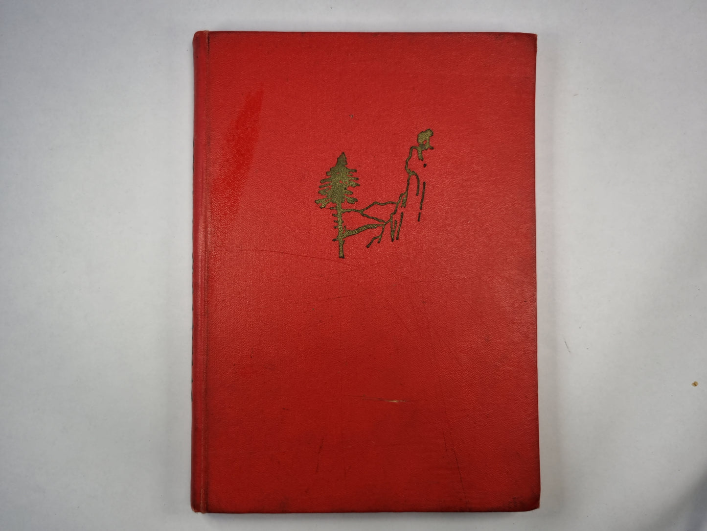 Aukstā sirds un citas pasakas (LAT)