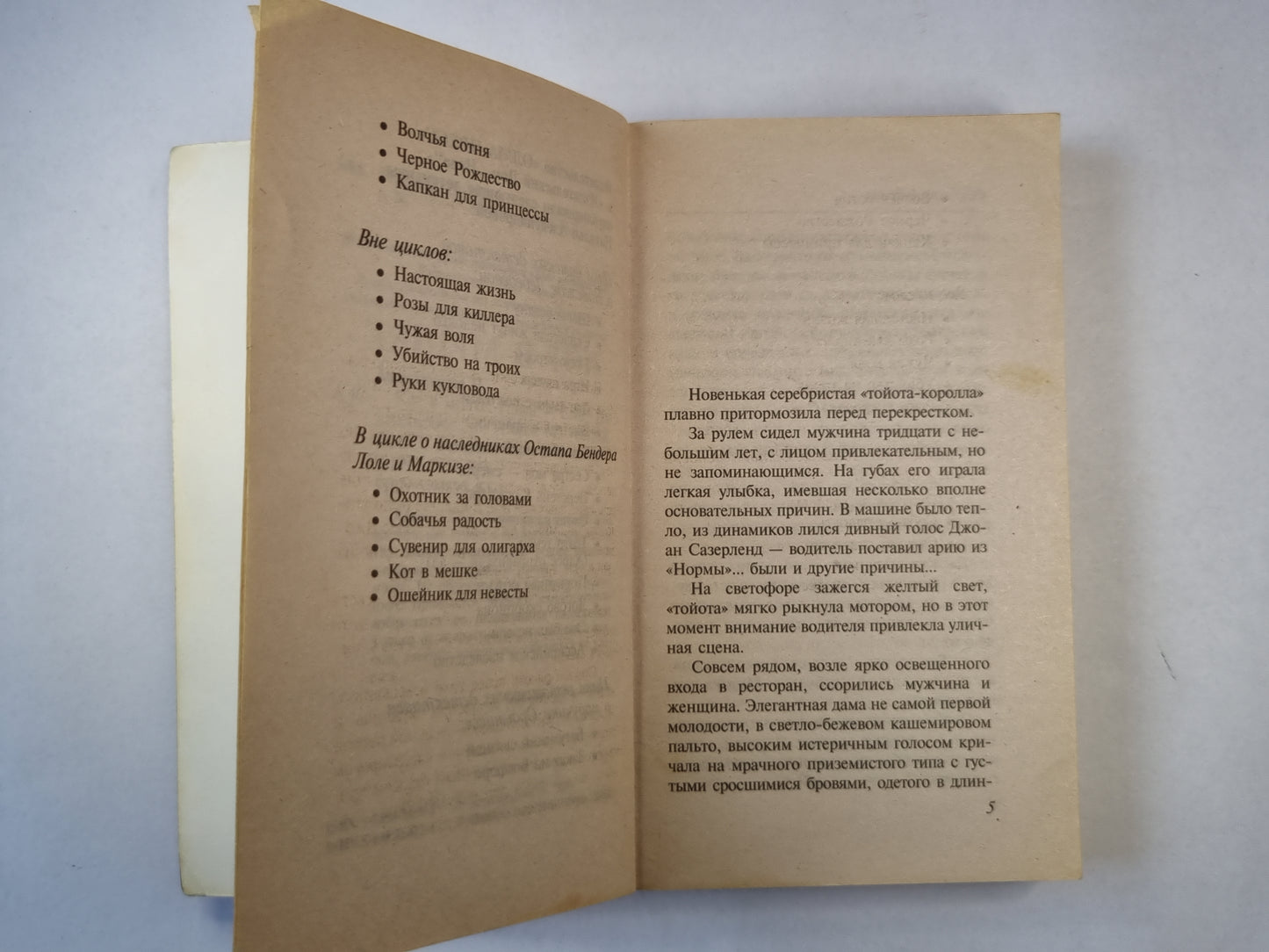 Кот в мешке. Роман