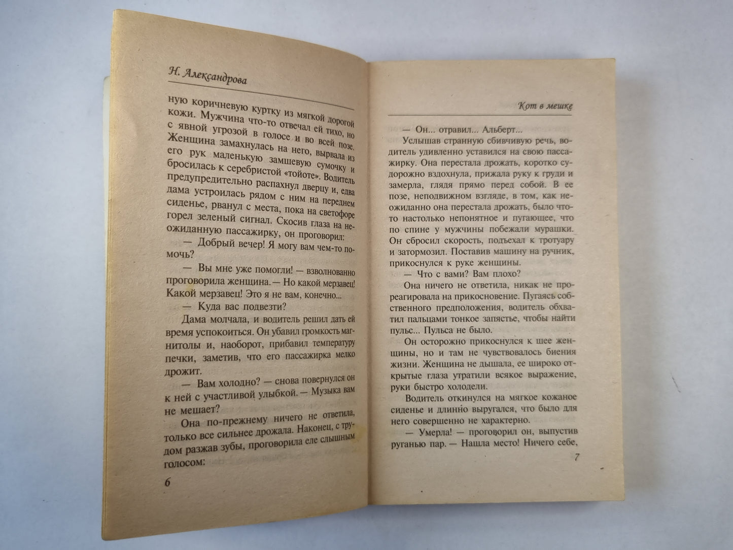 Кот в мешке. Роман