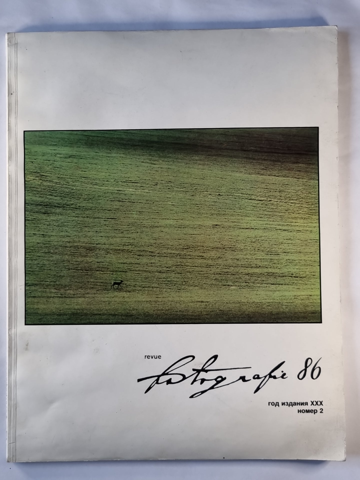 Фотография 86