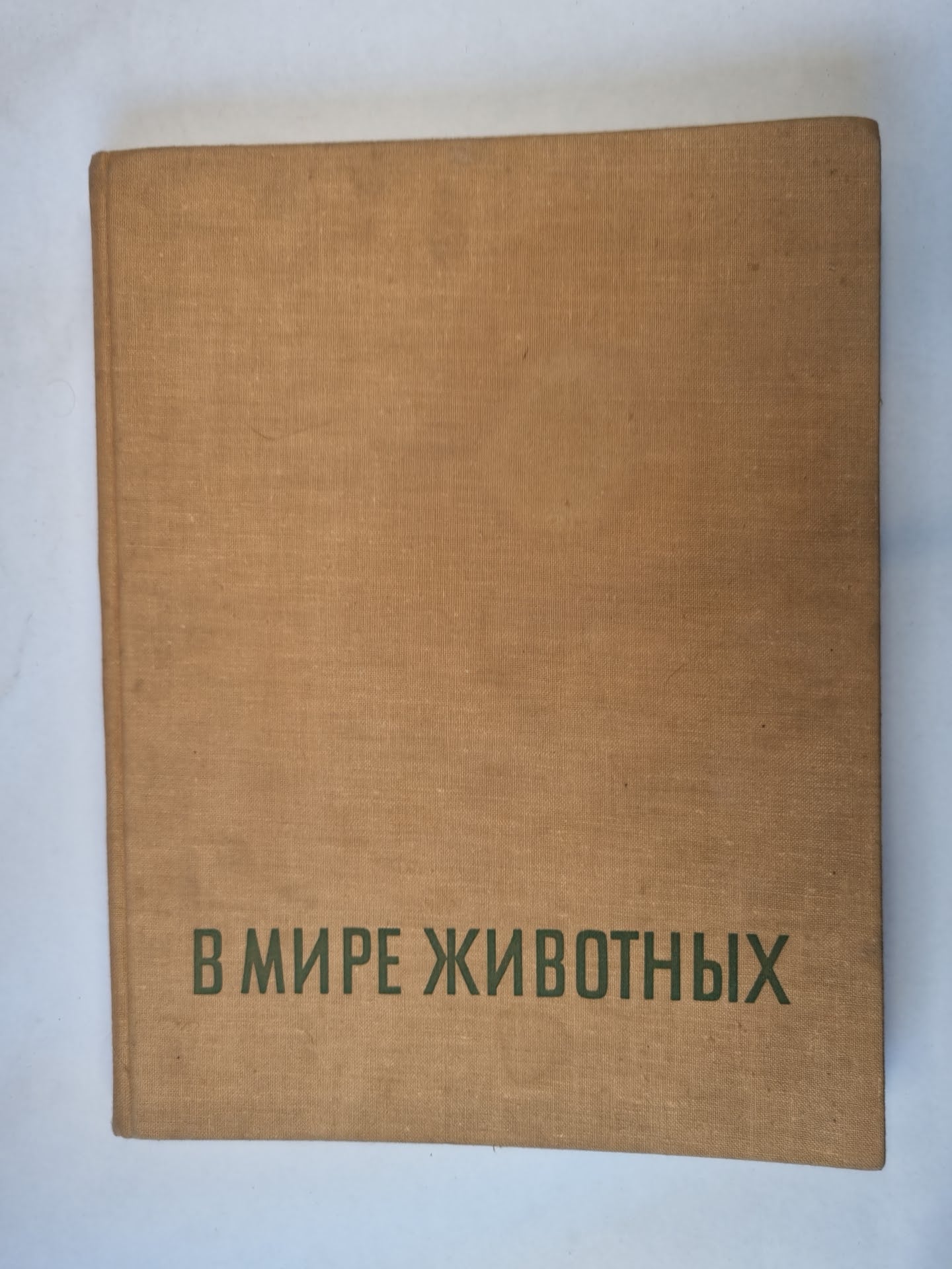 В мире животных