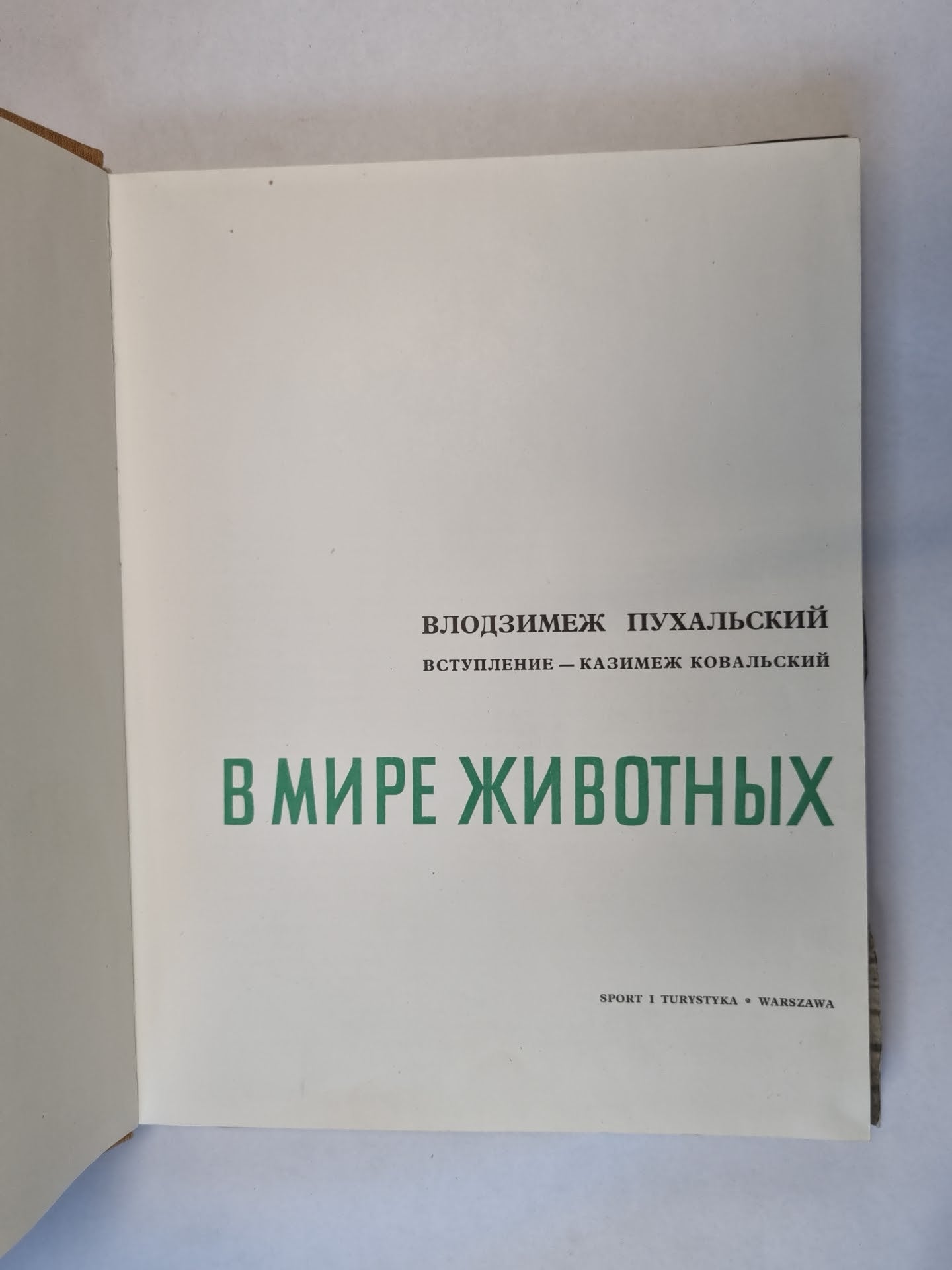 В мире животных