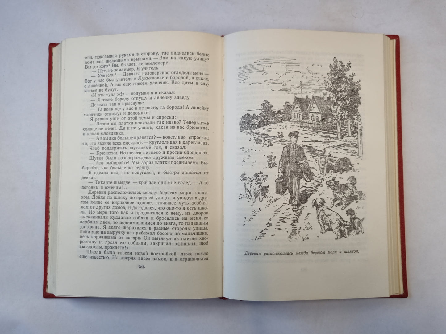 Жизнь и приключения заморыша