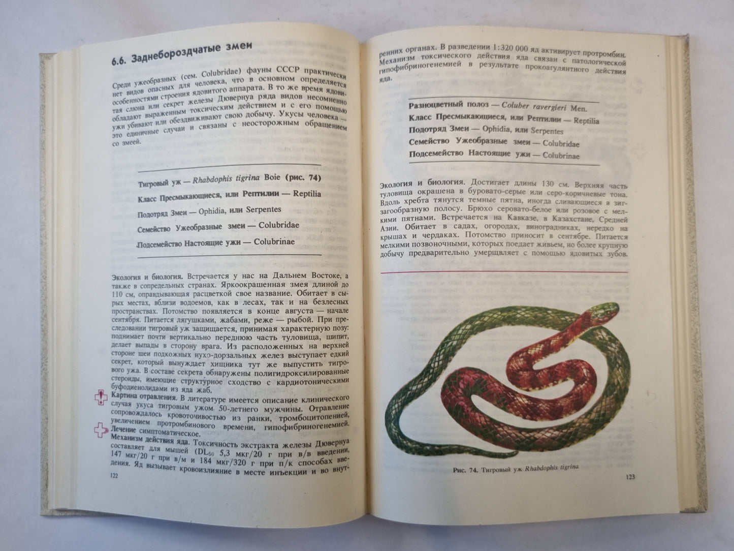 Ядовитые животные и растения СССР