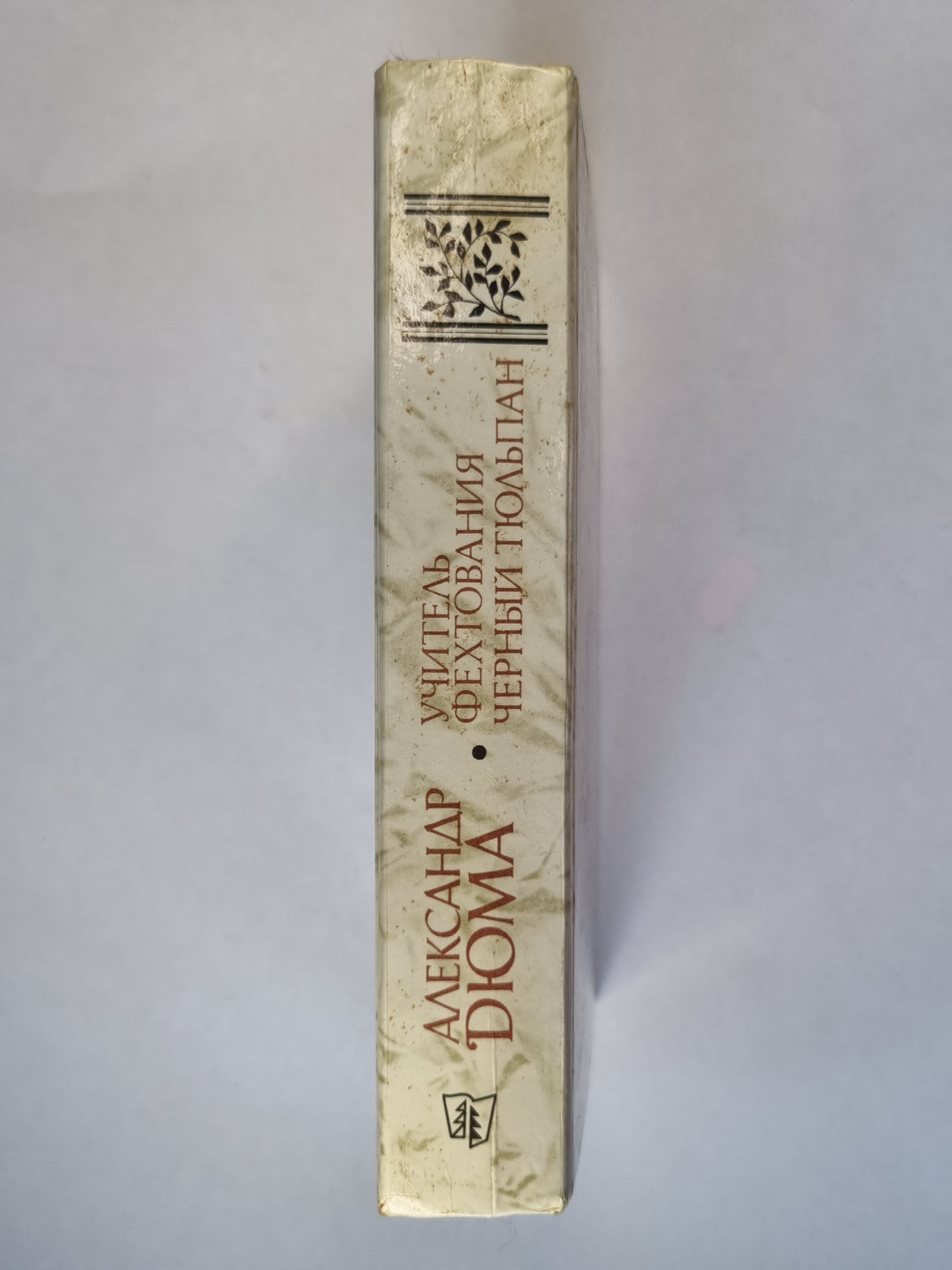 Учитель фехтования. Черный тюльпан