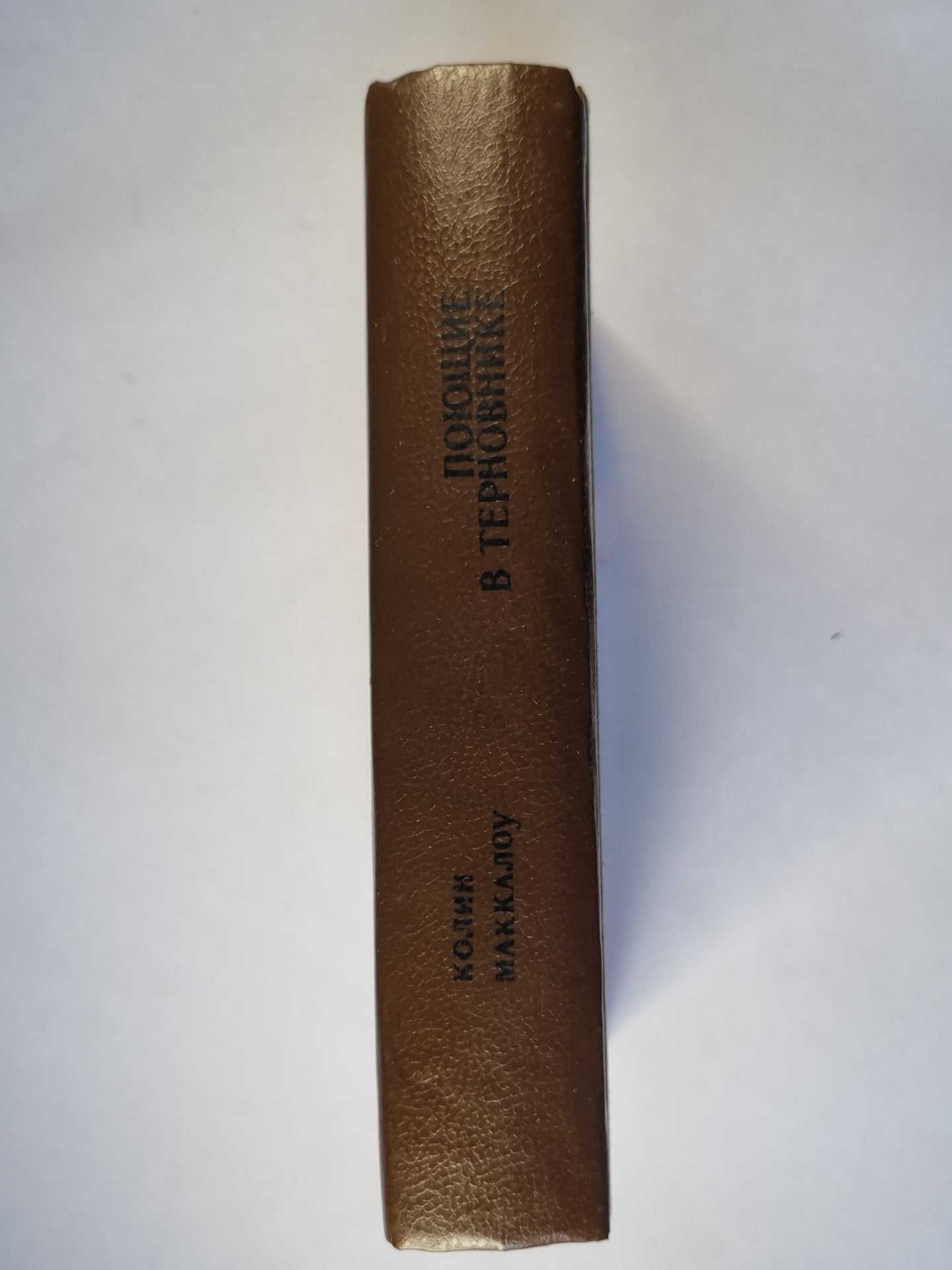 Поющие в Терновнике