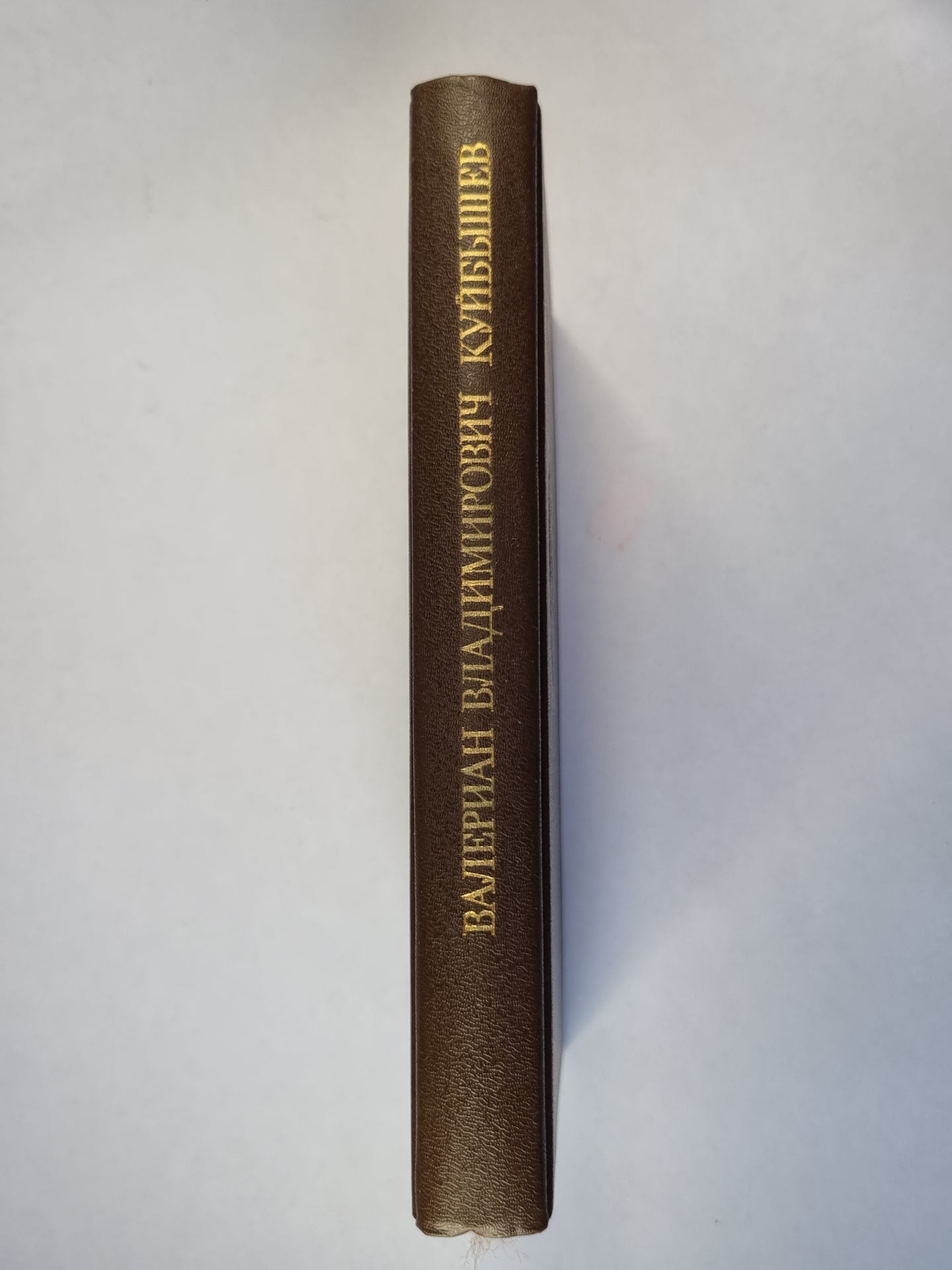 Валериан Владимирович Куйбышев: Биография