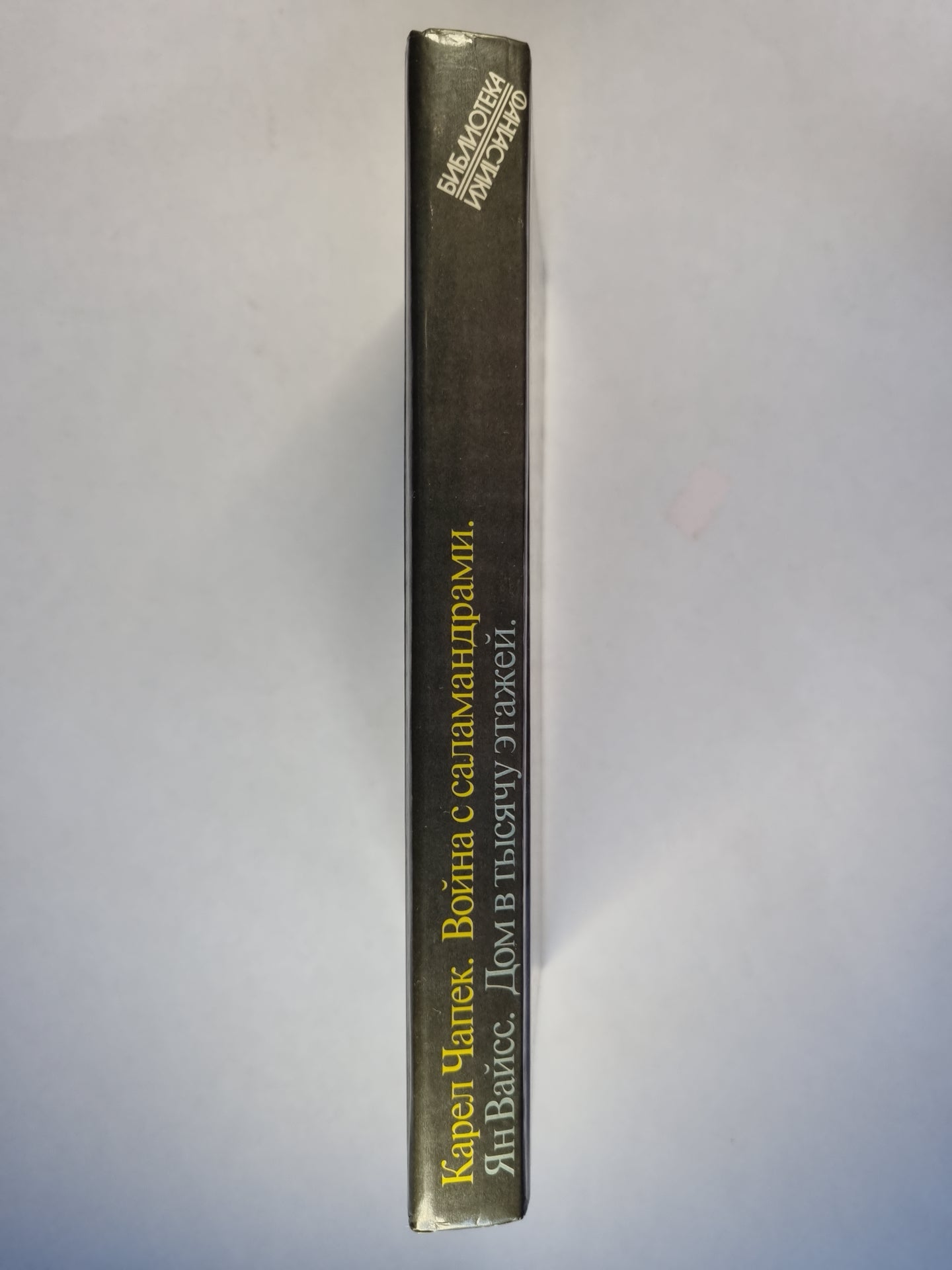 Je suis avec les salamandres. La maison dans votre état