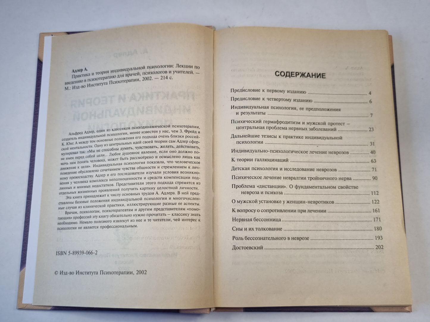 Практика и теория индивидуальной психологии