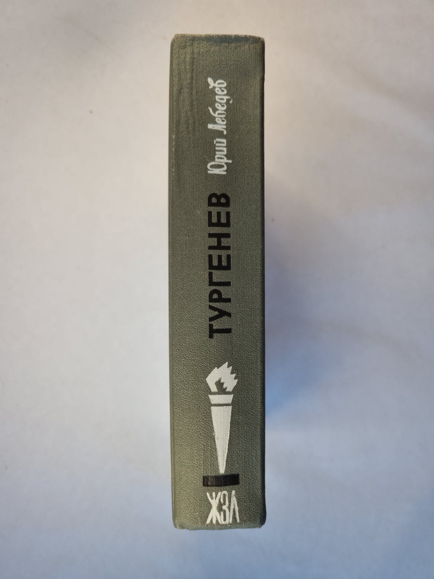 Тургенев. Жизнь замечательных людей