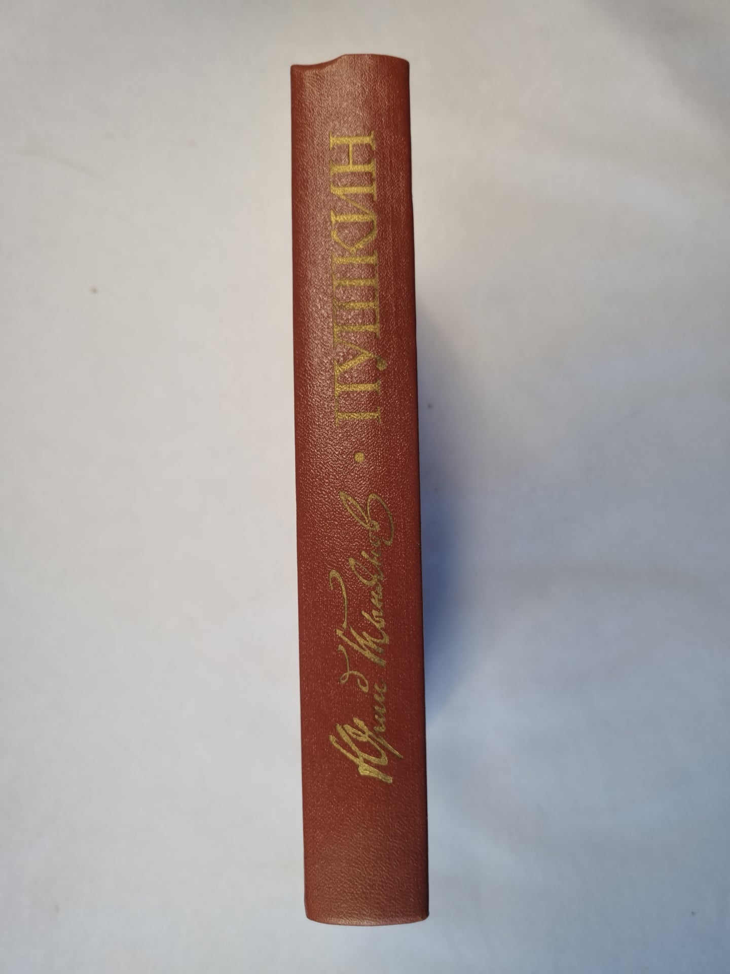 Пушкин. Роман