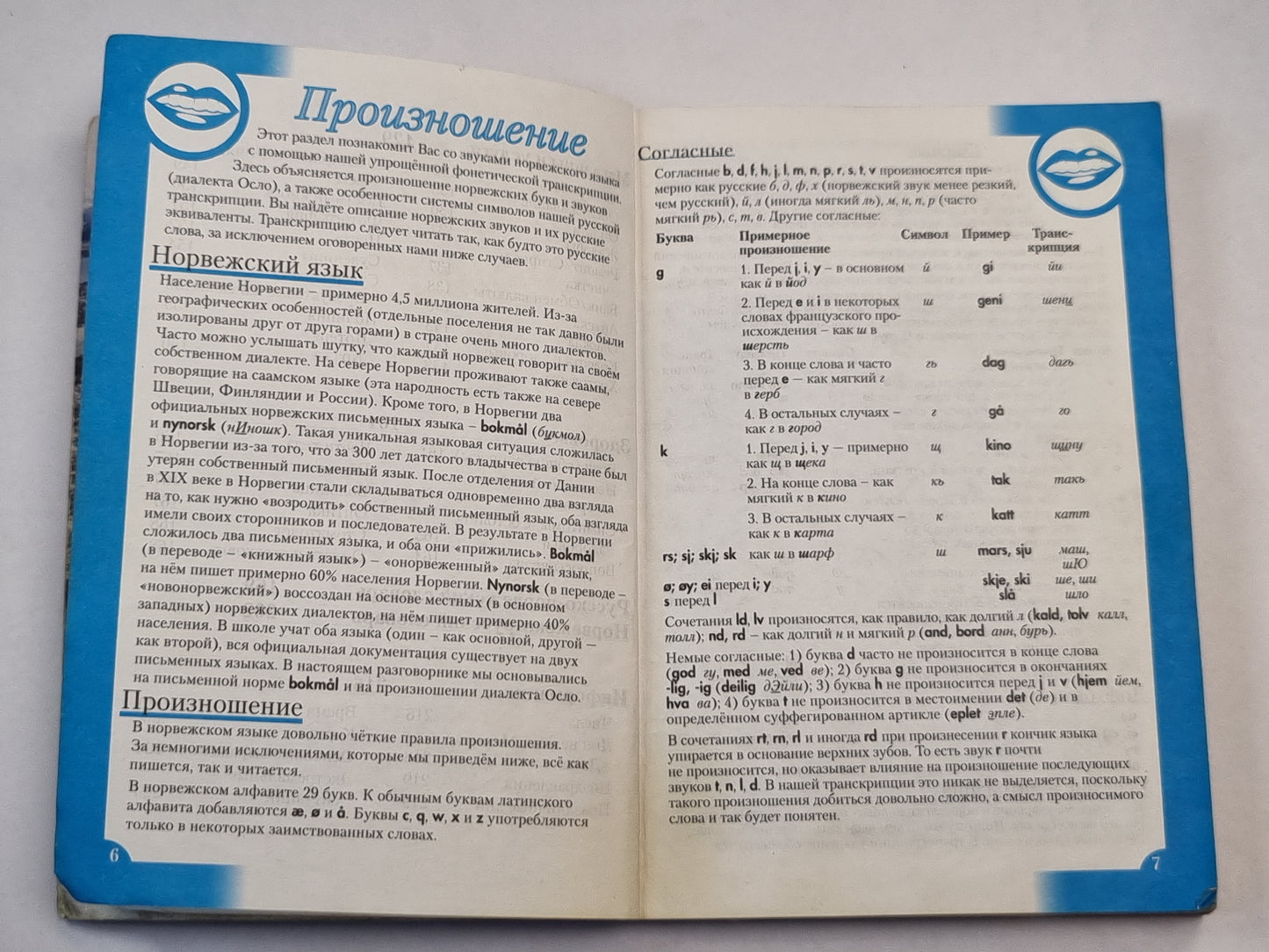 Норвежский разговорник и словарь