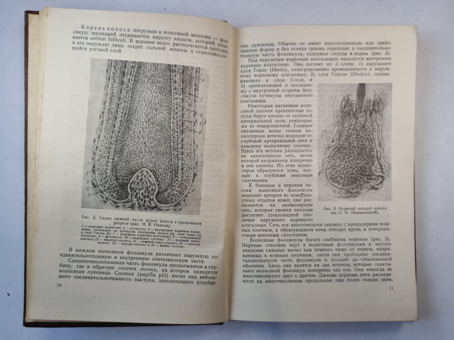 Болезни волос