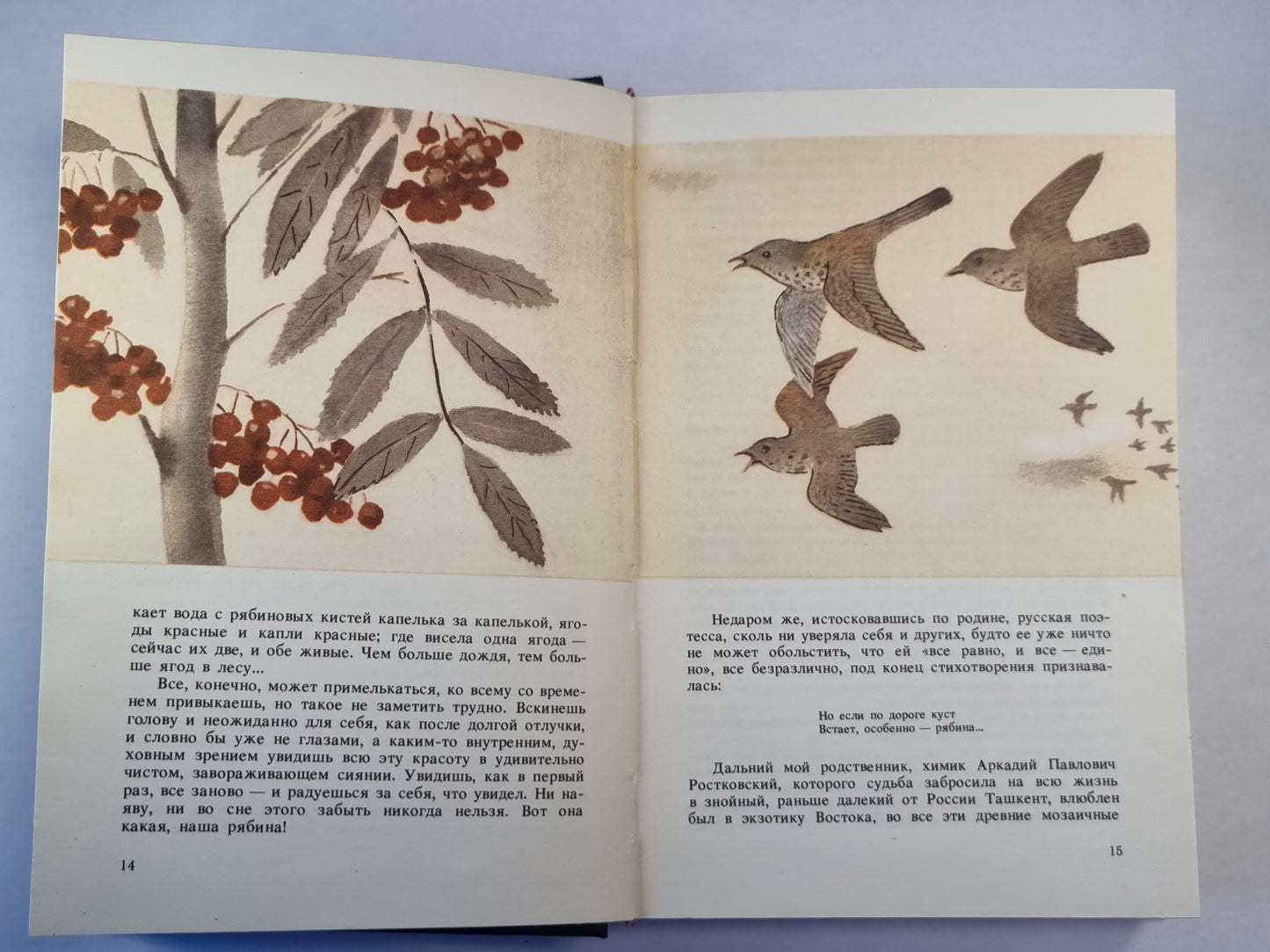 Угощаю рябиной. Сладкий остров. Рассказы. Повести