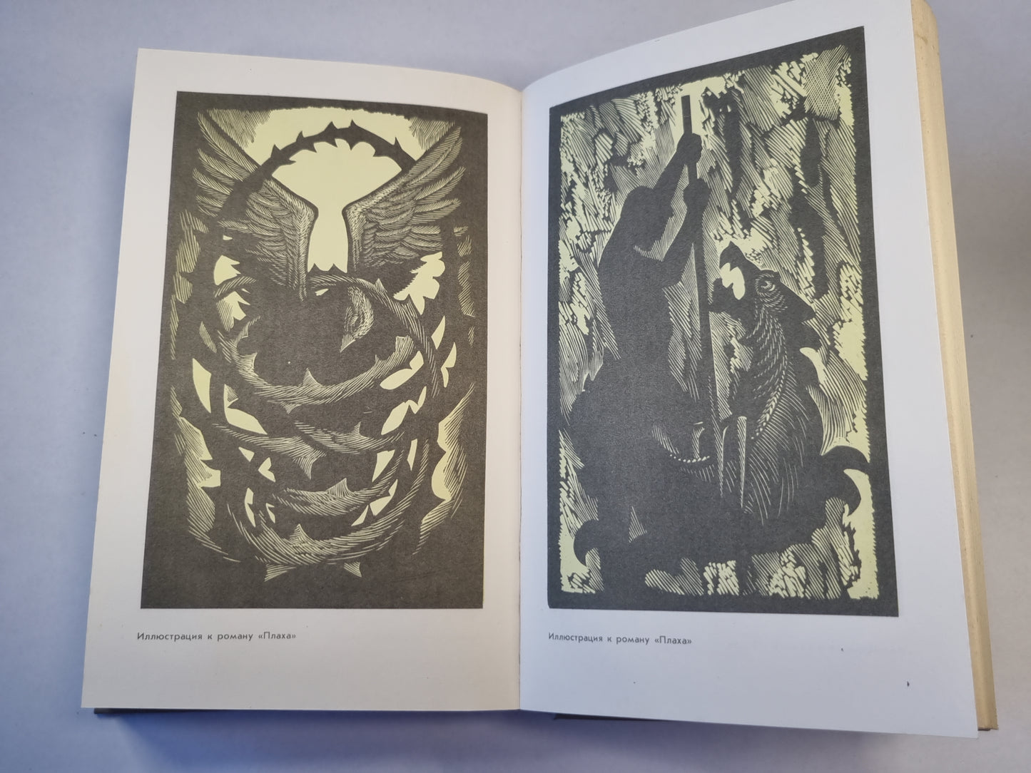 Белый пароход. И дольше века... . Плаха