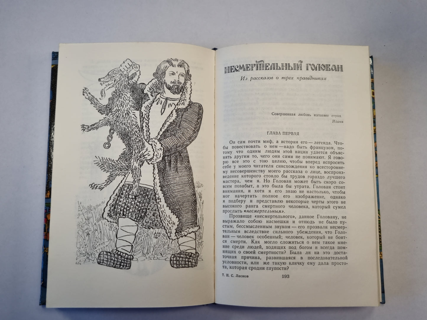 Очарованный странник. Levcha. Повести и рассказы